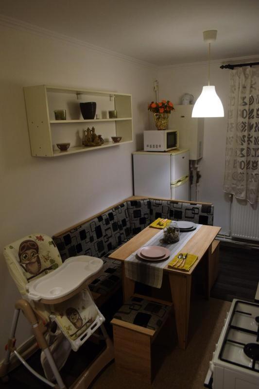 Appartement Apartament Thea à Făgăraş Extérieur photo