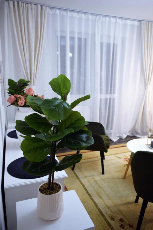 Appartement Apartament Thea à Făgăraş Extérieur photo