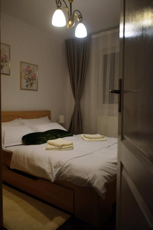 Appartement Apartament Thea à Făgăraş Extérieur photo