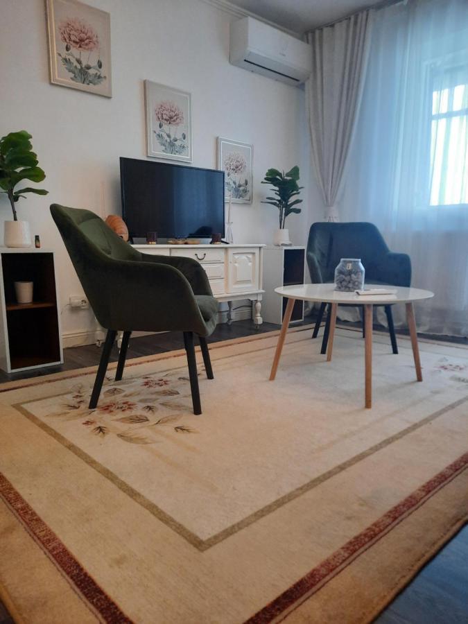 Appartement Apartament Thea à Făgăraş Extérieur photo